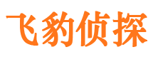 城固找人公司